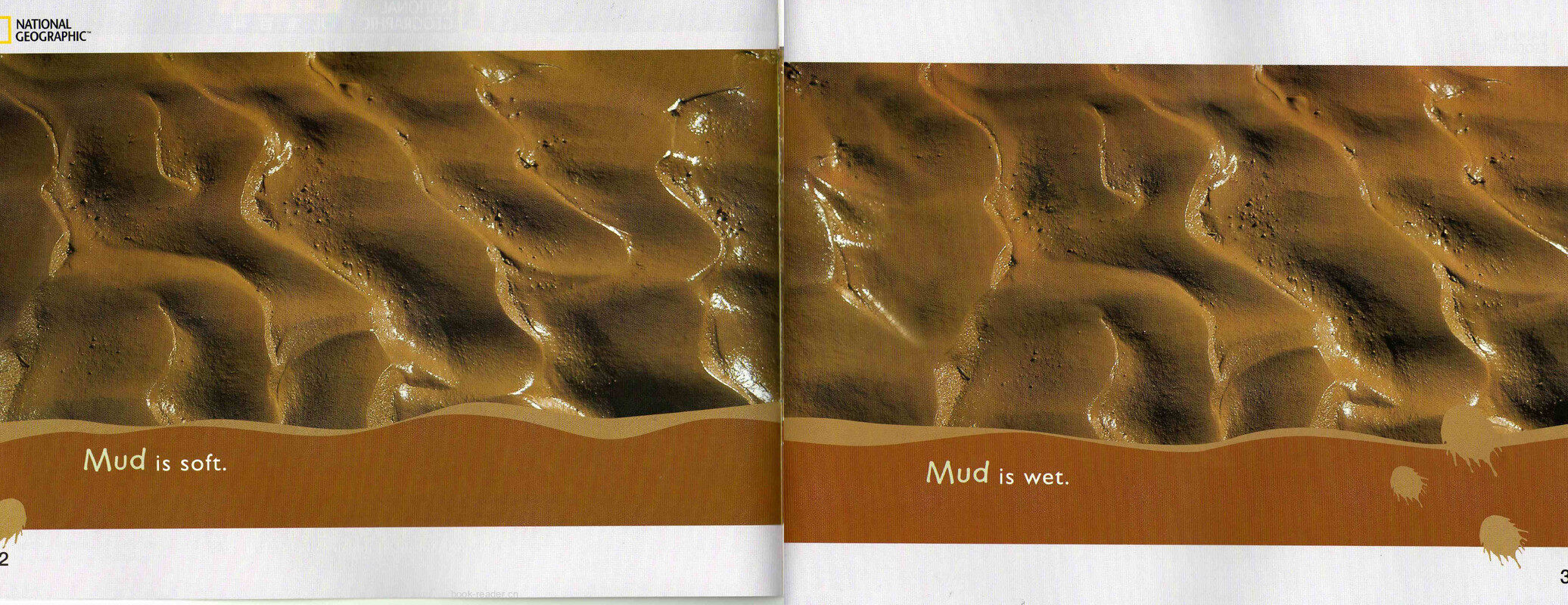 Mud,Mud,Mud绘本故事第3页