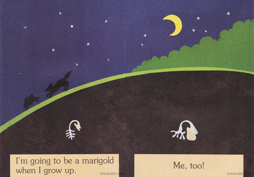 (33周)I'm a Seed绘本故事第4页