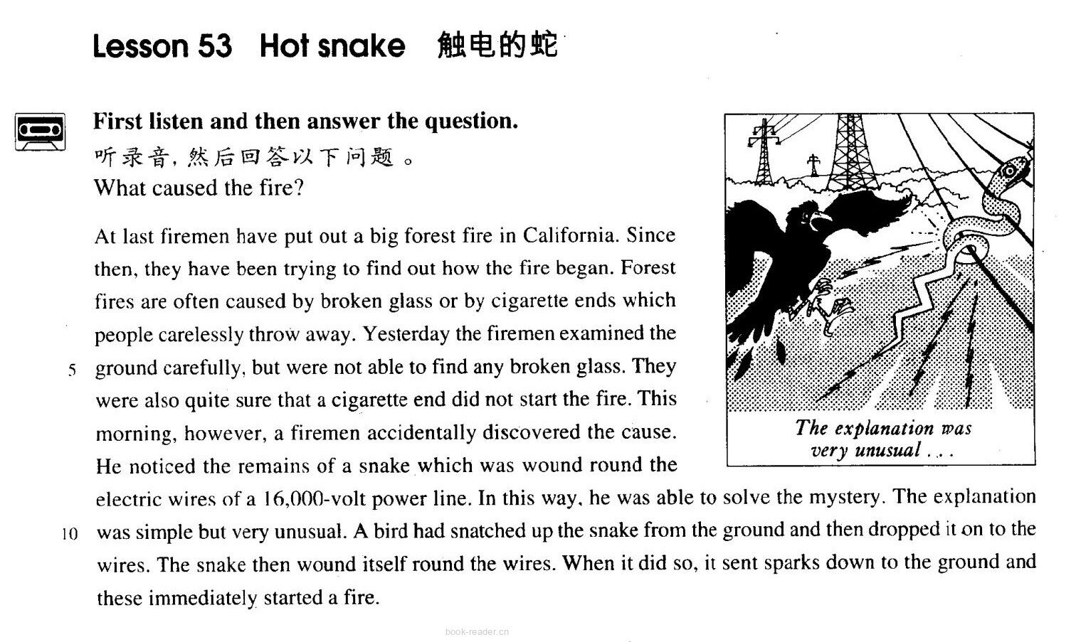 53 Hot snake绘本故事第2页