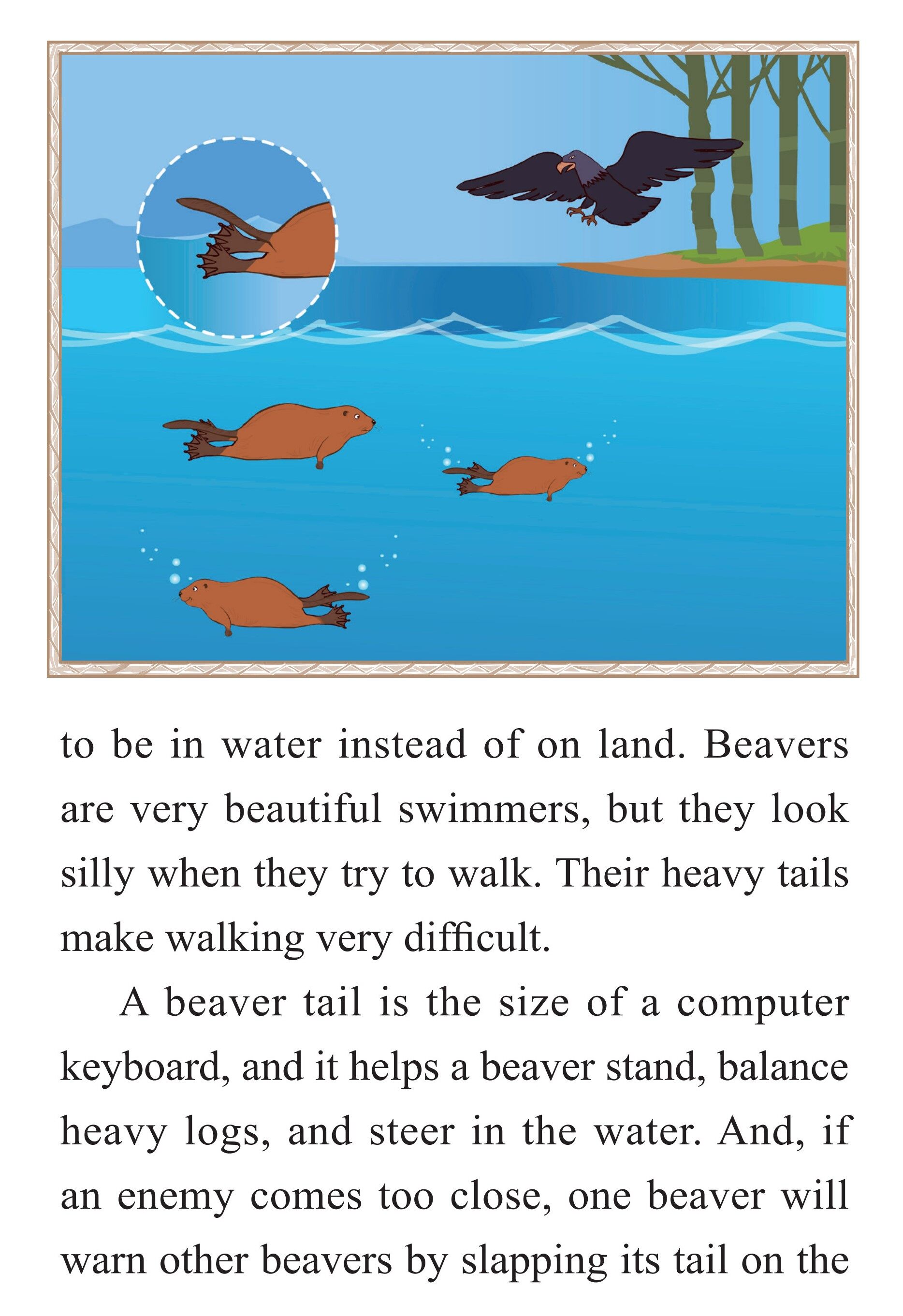 The Clever Beaver绘本故事第5页