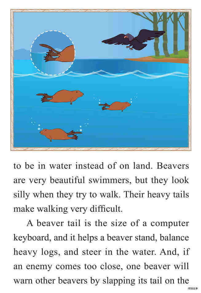 The Clever Beaver绘本故事第5页