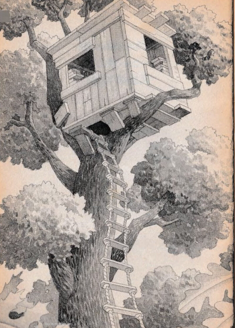 01 Where's Peanut?绘本故事第3页