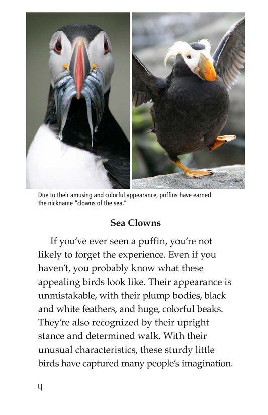 Puffins绘本故事第3页