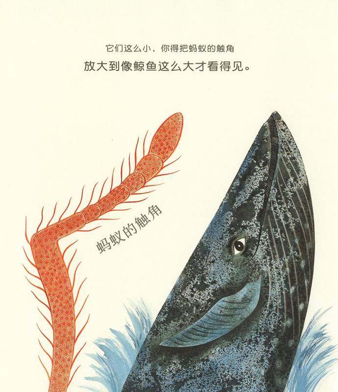 微生物：看不见的魔术师绘本故事第4页