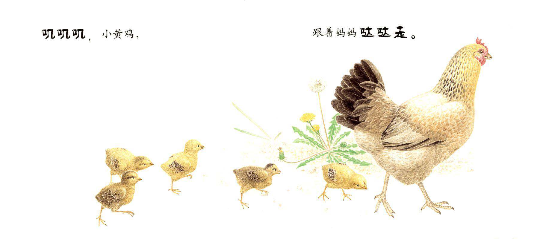 跟着妈妈哒哒走绘本故事第3页