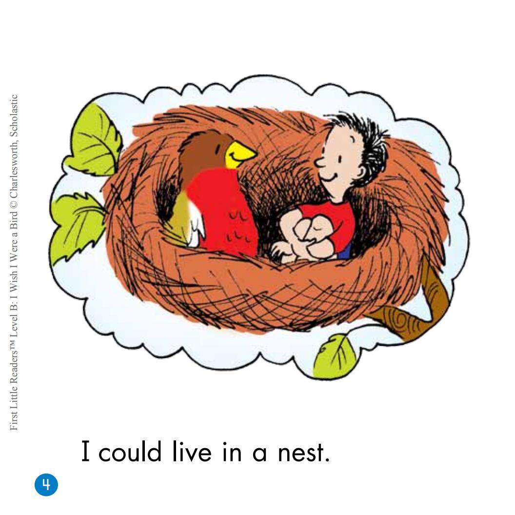 I Wish I Were a Bird绘本故事第5页