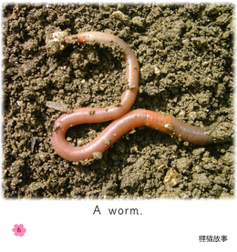 Minibeasts绘本故事第5页