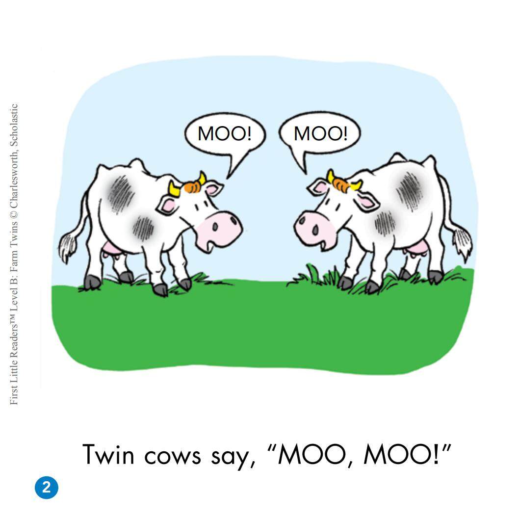 Farm Twins绘本故事第3页