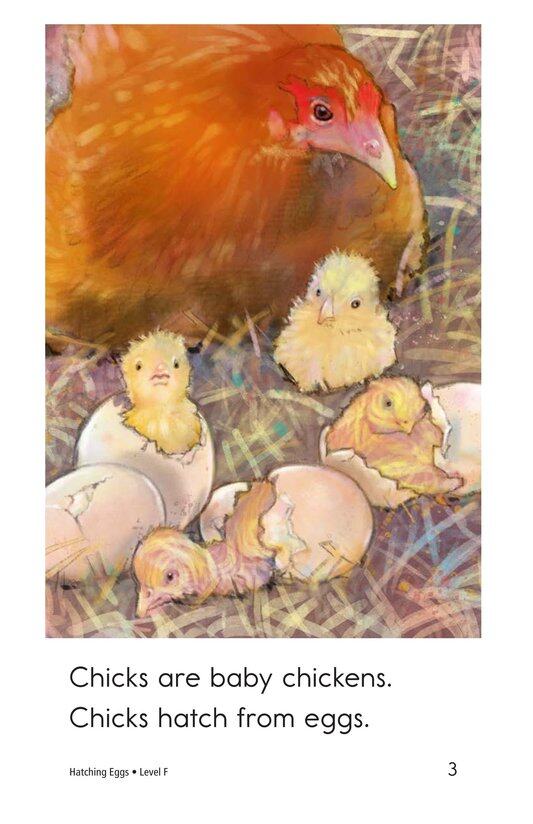 Hatching Eggs绘本故事第3页