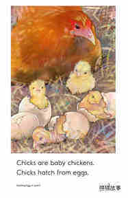 Hatching Eggs绘本故事第3页