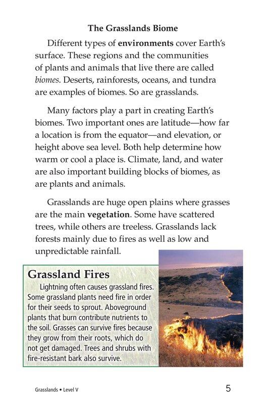 Grasslands绘本故事第4页