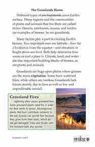 Grasslands绘本故事第4页