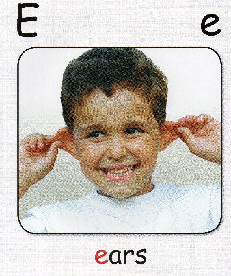 E绘本故事第5页