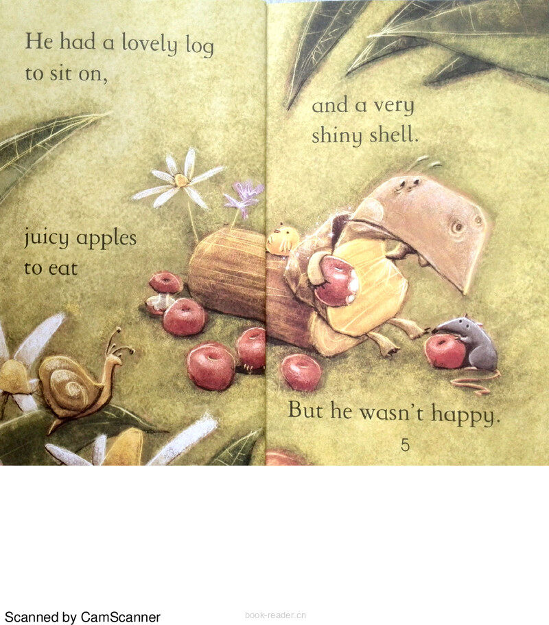 The Tortoise and the Eagle绘本故事第4页