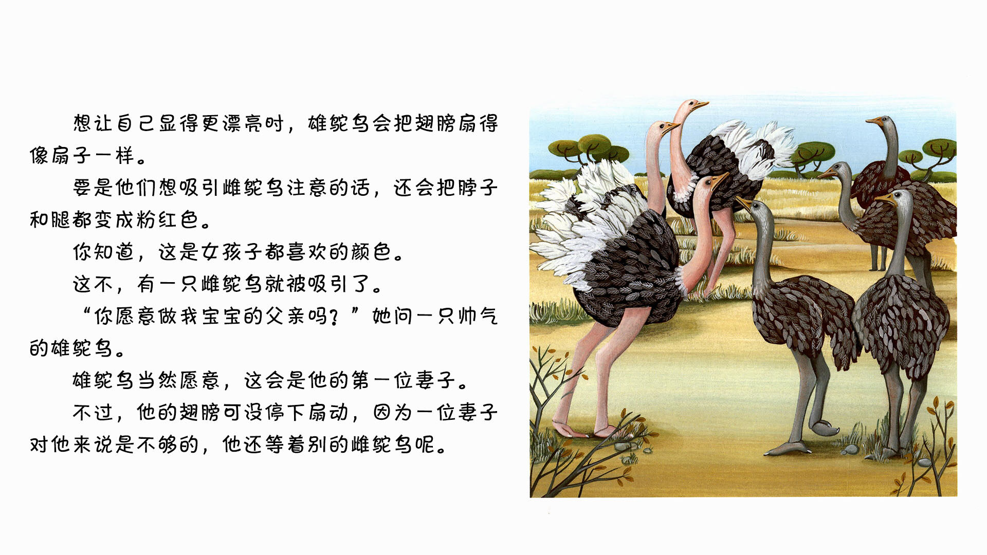 鸵鸟绘本故事第4页