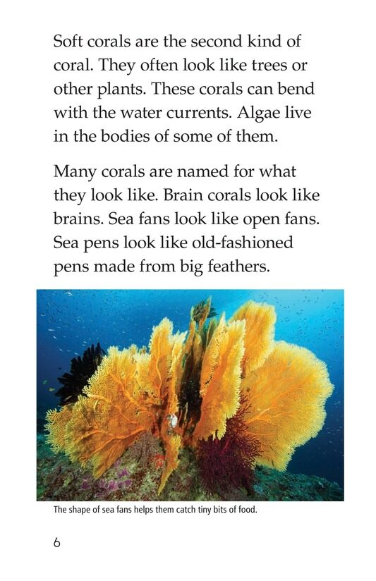 Coral Reefs绘本故事第5页