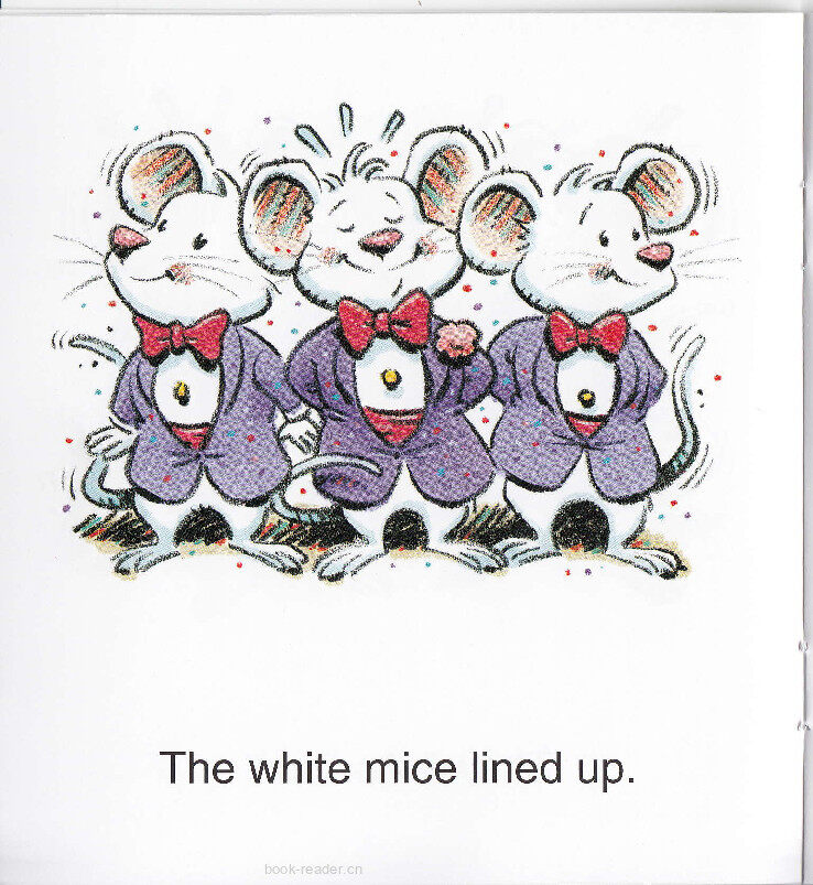 The Mice Kiss绘本故事第5页