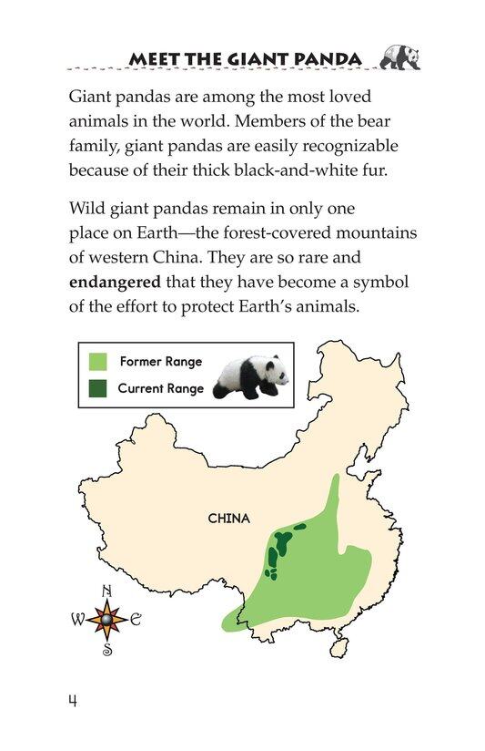 Giant Pandas绘本故事第3页