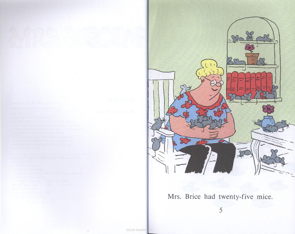 Mrs. Brice's Mice绘本故事第3页