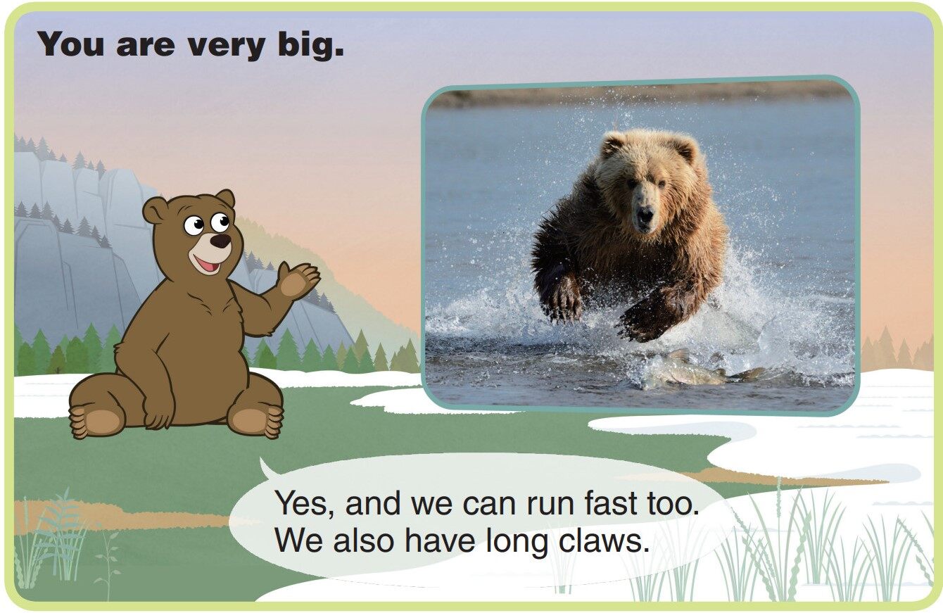 Grizzly Bear绘本故事第5页