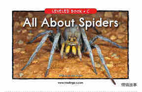 All About Spiders