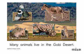 Gobi Desert Animals绘本故事第3页
