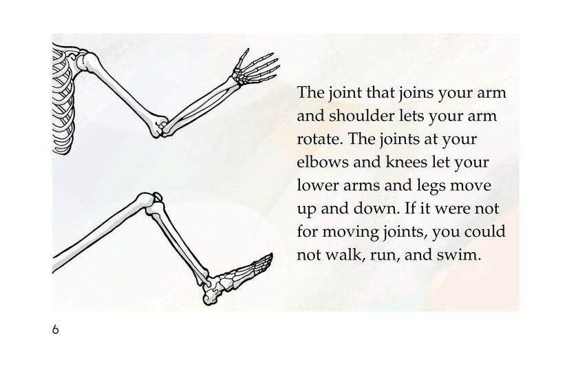 Inside Your Body绘本故事第5页