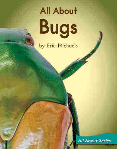 All About Bugs绘本故事第2页