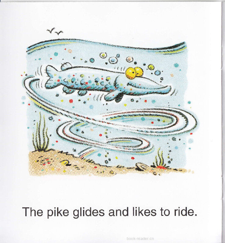 A Pike Glides绘本故事第5页