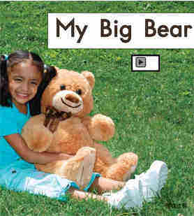 My big bear