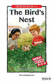The Bird's Nest