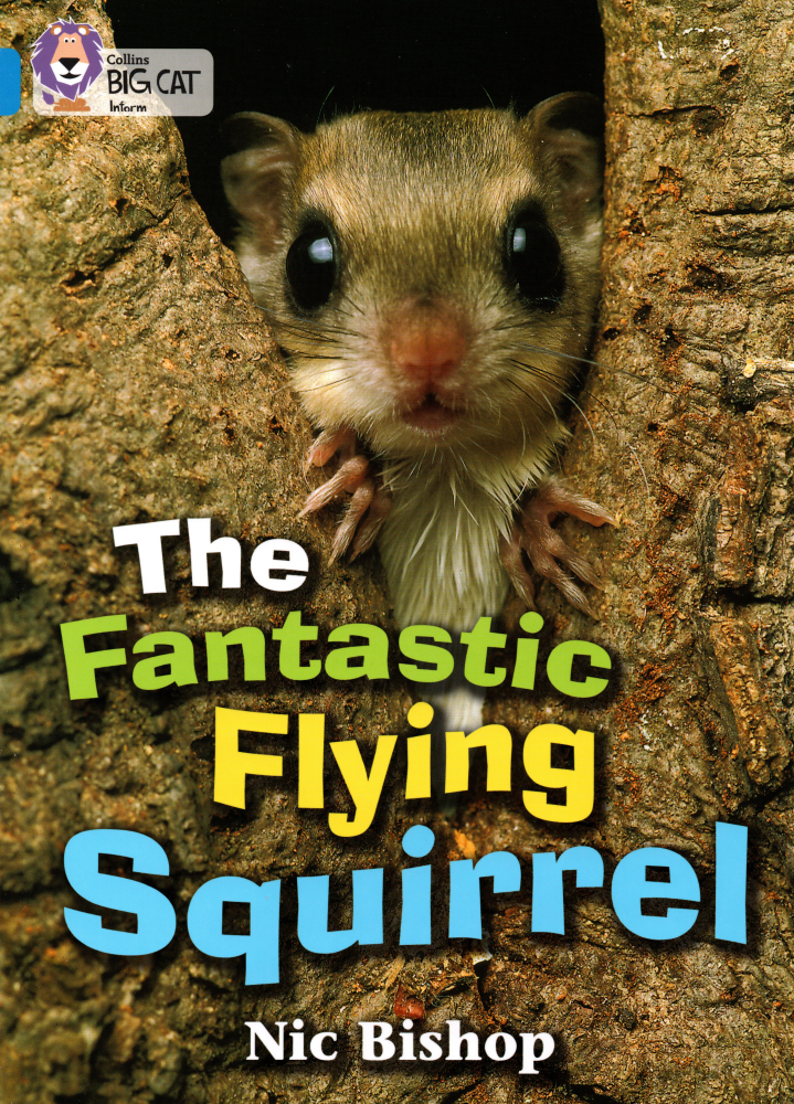 The Fantastic Flying Squirrel绘本故事第2页