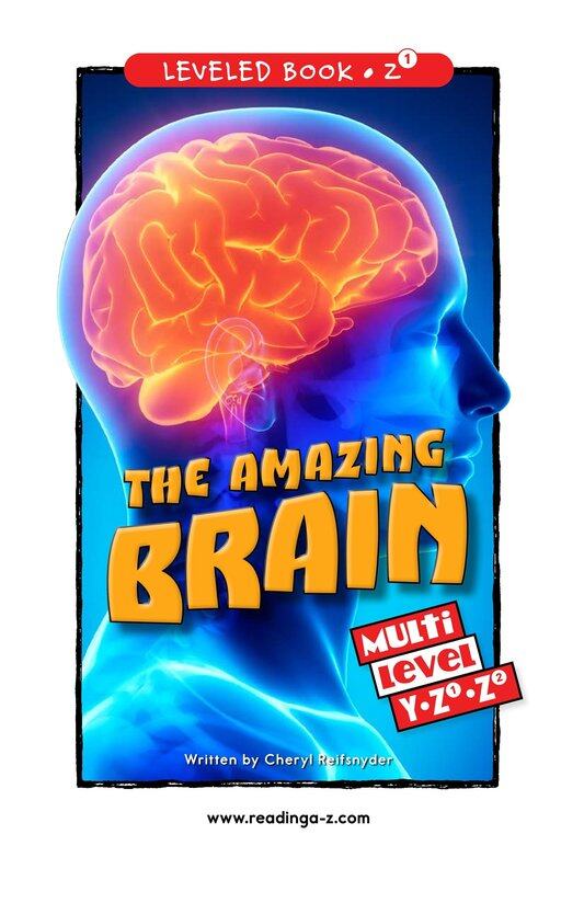 The Amazing Brain绘本故事第2页
