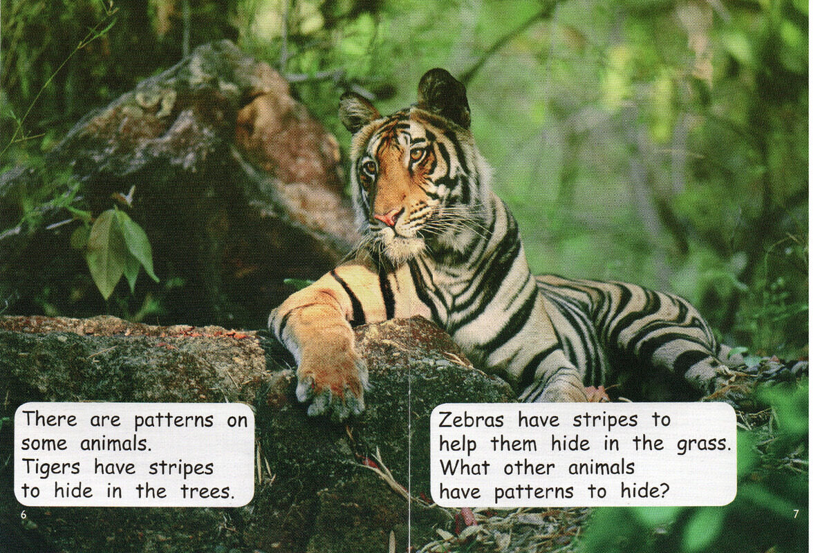 patterns绘本故事第5页