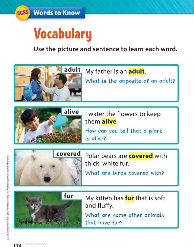 G2 Unit 2 Week 4绘本故事第4页