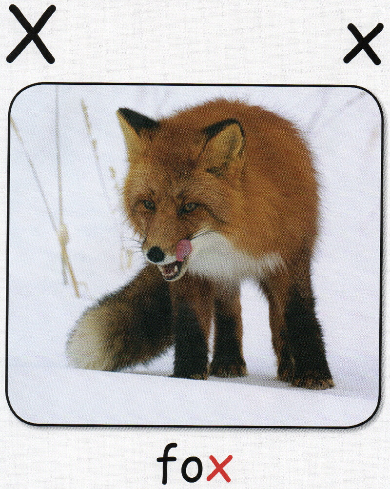 X绘本故事第3页