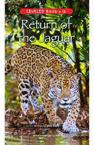 Return of the Jaguar