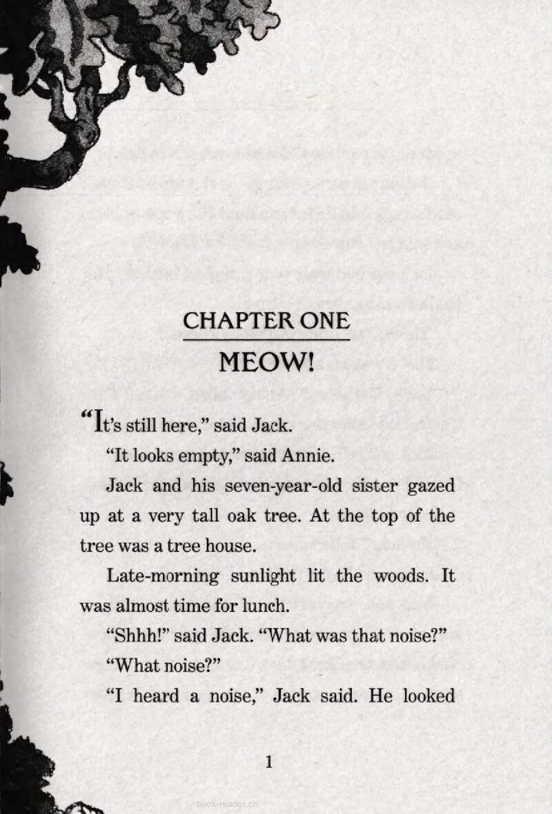 01 Meow!绘本故事第4页