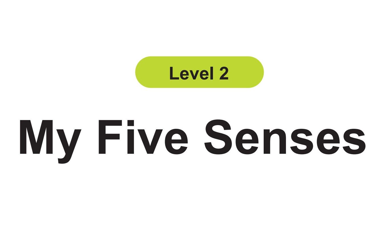 My Five Senses绘本故事第2页