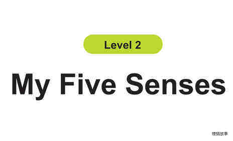 My Five Senses绘本故事第2页