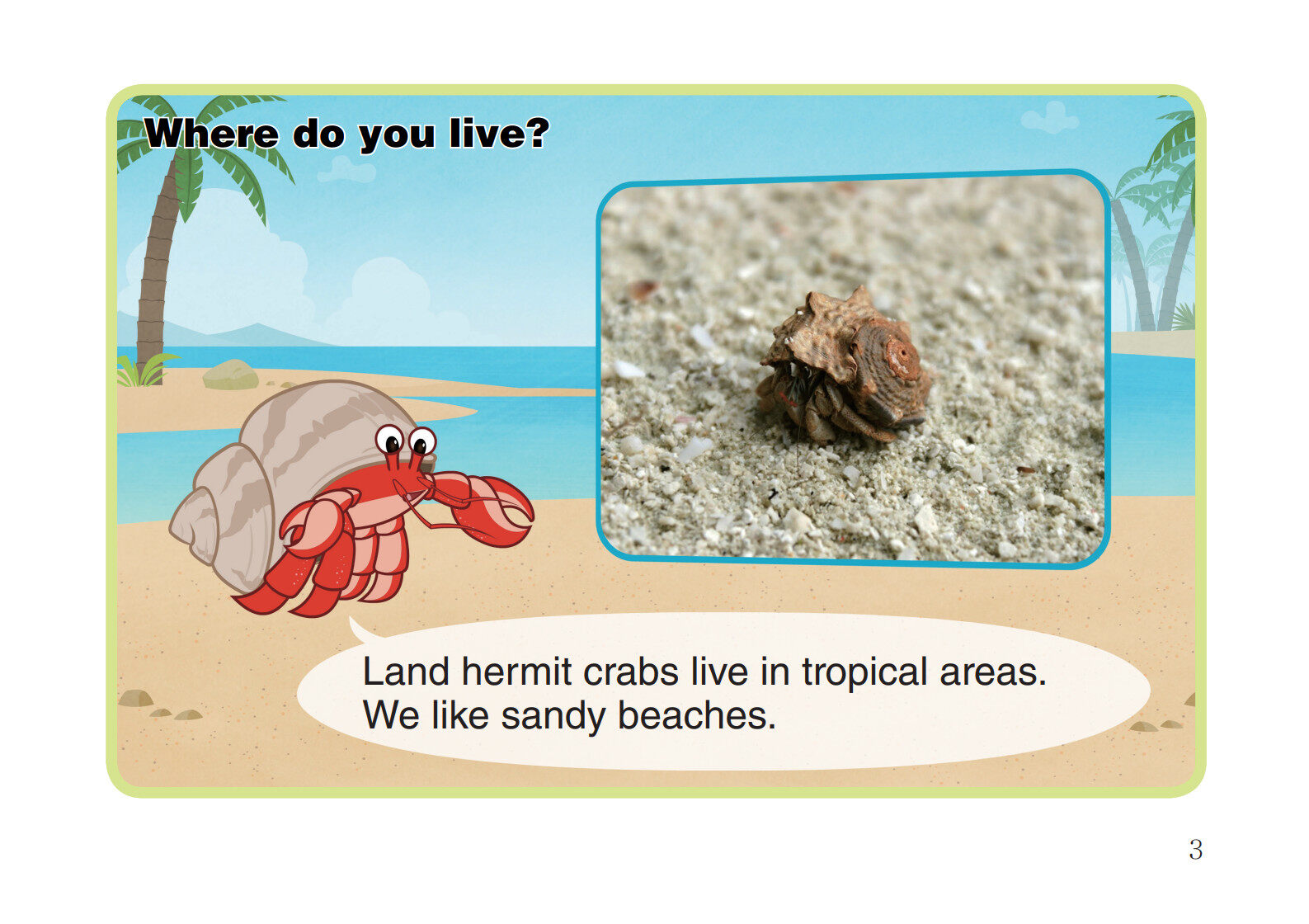 Land Hermit Crab绘本故事第4页