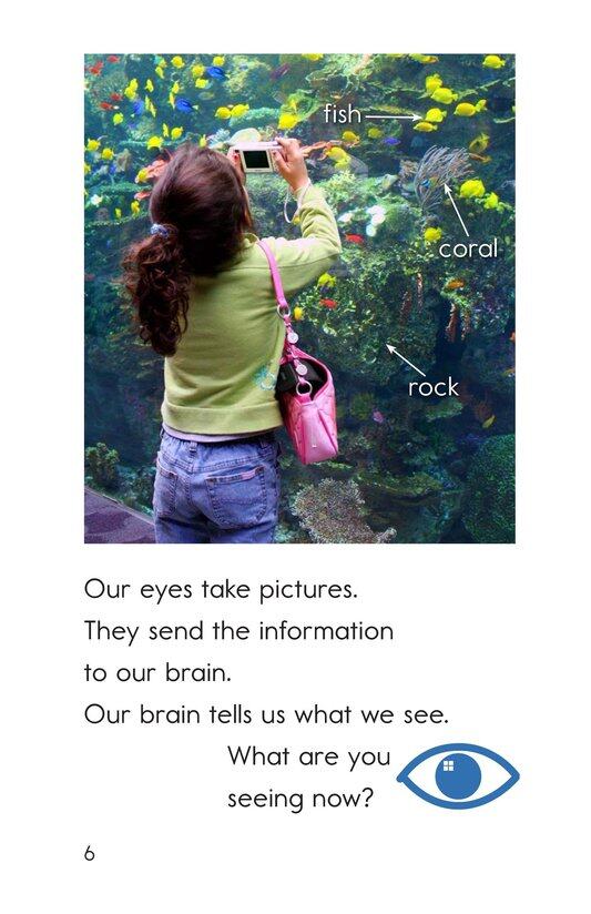 Our Five Senses绘本故事第5页