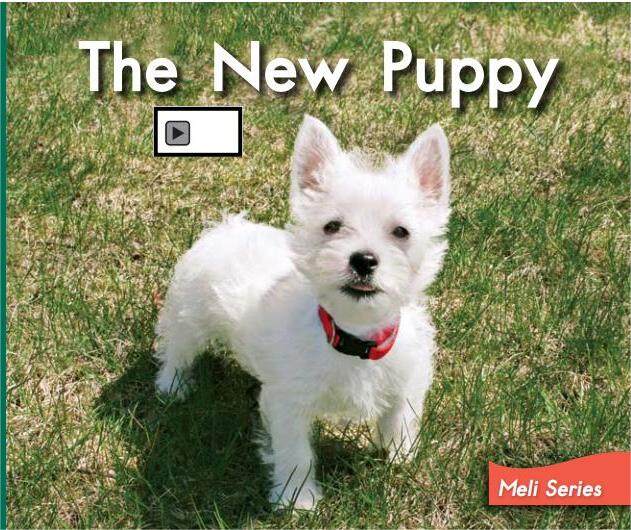 The new puppy绘本故事第2页