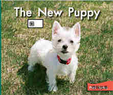 The new puppy绘本故事第2页