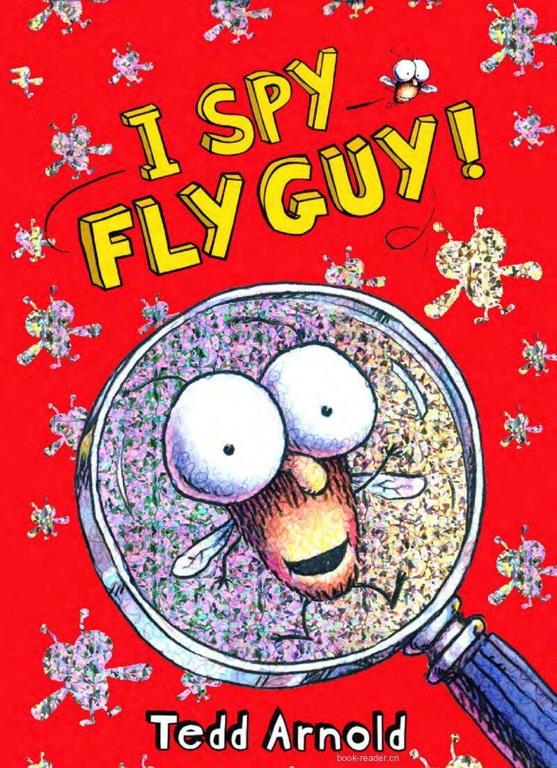  I Spy Fly Guy绘本故事第2页