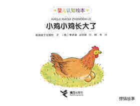 小鸡小鸡长大了绘本故事第1页