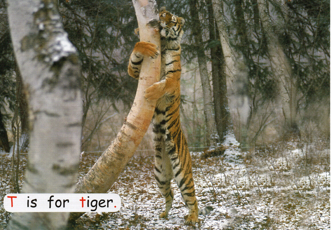 who has claws绘本故事第5页