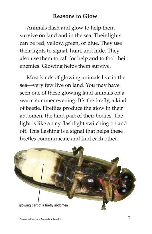 Glow in the Dark Animals绘本故事第4页