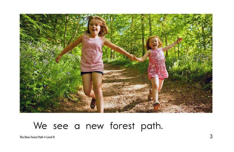 The New Forest Path绘本故事第3页