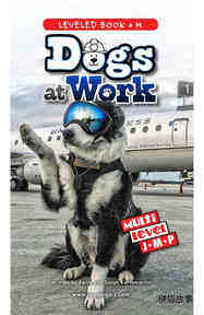 Dogs at Work